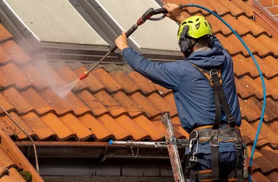 Démoussage et hydrofuge de toiture à Lande-de-Goult